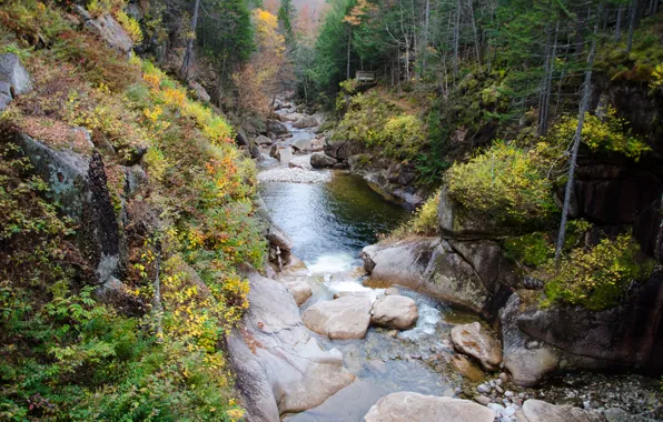 Картинка осень, камни, скалы, поток, Речка, river, nature, autumn