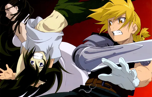 Стальной Алхимик, Fullmetal Alchemist, wrath