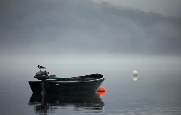 Картинка пейзаж, туман, птица, лодка