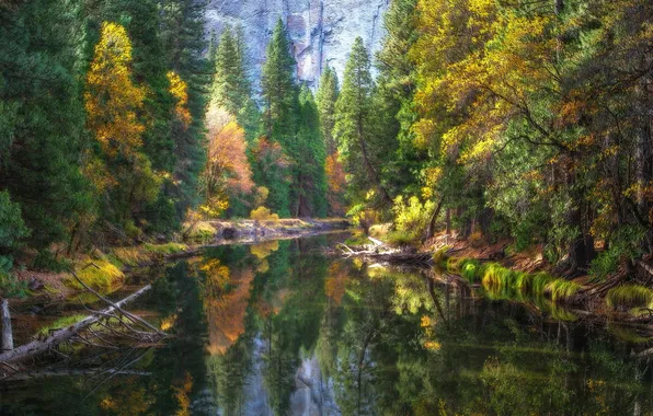 Картинка River, Yosemite National Park, Mirror, Reflection, Merced River, Fall Colors