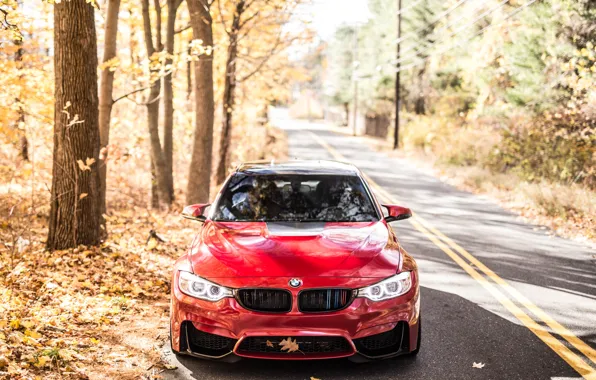 BMW, Autumn, RED, F82