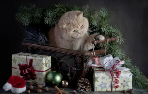 Картинка кошка, подарки, Merry Christmas, с праздником