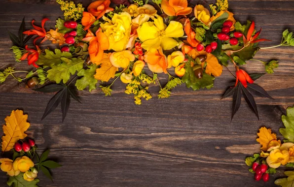 Картинка осень, листья, цветы, wood, flowers, autumn, leaves, композиция