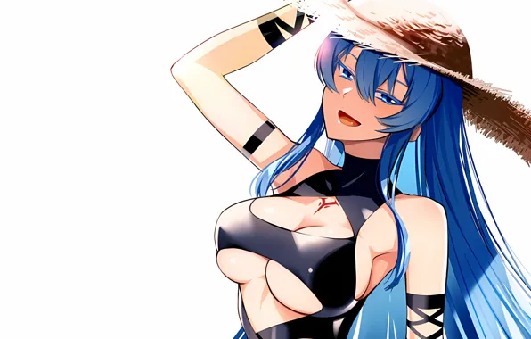 Girl, sexy, cleavage, long hair, hat, boobs, anime, blue eyes