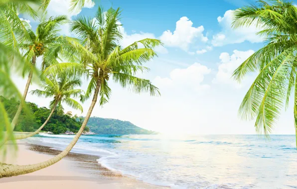 Песок, море, пляж, природа, океан, summer, beach, sea