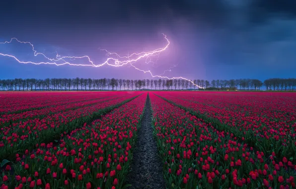 Природа, Красота, Nature, Night, Countryside, Thunderstorm, Aesthetic, Lightning Strike