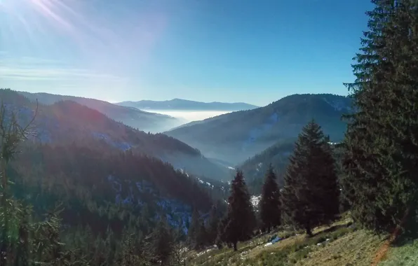 Romania, Fog, Sunny, Carpathian Mountains