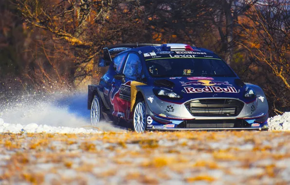 Ford, Зима, Авто, Снег, Спорт, Машина, Форд, Гонка