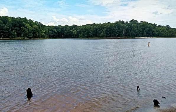 North Carolina, Lake, Raleigh, Falls Lake