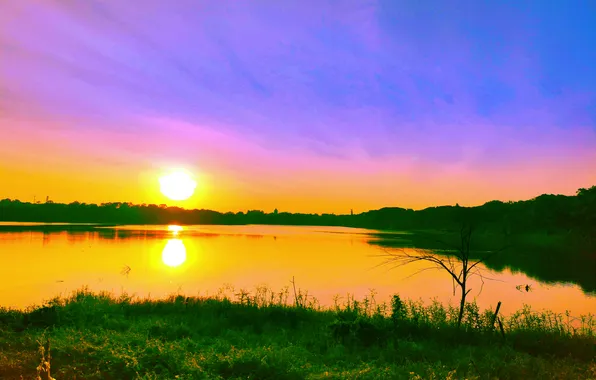 Sky, Grass, Water, Sunrise, Dawn, Morning, Lake, Trees
