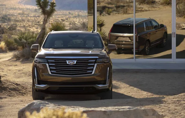 Cadillac, Escalade, 2021, Cadillac Escalade 2021