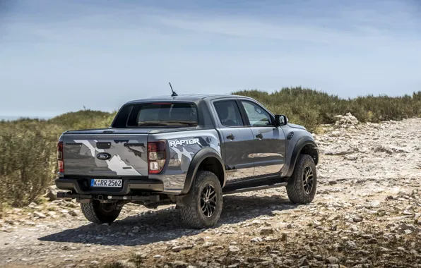 Картинка небо, трава, серый, Ford, Raptor, пикап, кустарник, Ranger