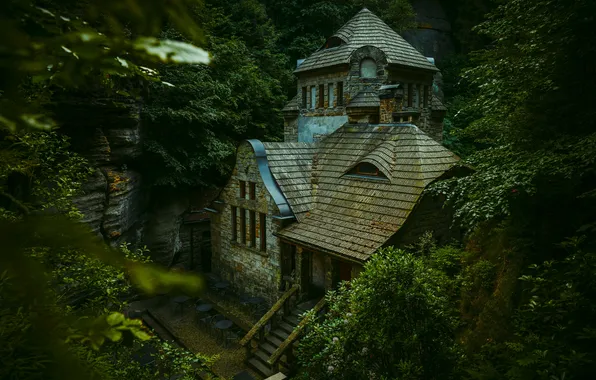 Rock, house, forest, building, Czech Republic, Hřensko