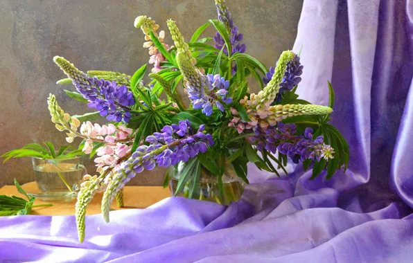 Цветы, букет, композиция, люпины