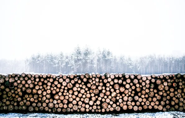 Картинка зима, лес, бревна, дрова