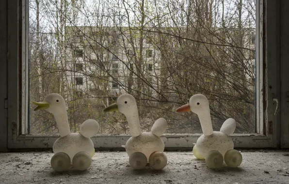 Игрушки, утки, окно, Чернобыль
