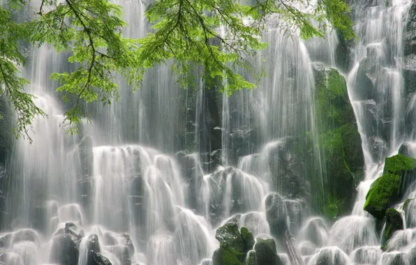 Картинка камни, ветви, мох, Водопад Рамона, Оригон