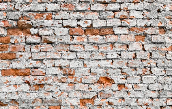 Wall, bricks, pattern, saltpeter