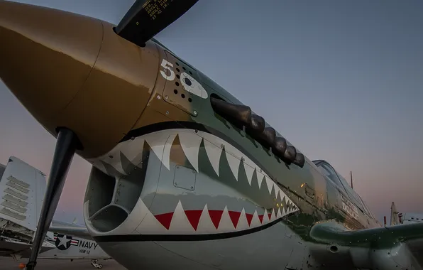 Картинка истребитель, аэродром, P-40 Warhawk