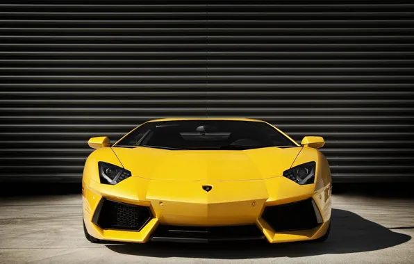 Картинка Lamborghini, front, view, Aventador, LP 700-4