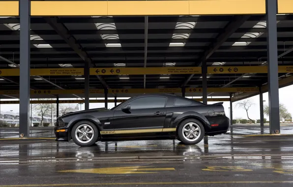 Картинка асфальт, мокрый, гараж, ShelbyGT500KR