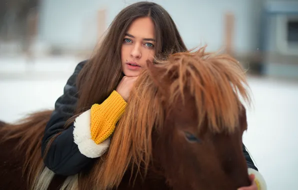 Картинка взгляд, девушка, лицо, пони, длинные волосы, лошадка, Дмитрий Шульгин