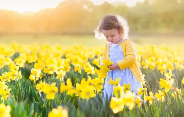 Картинка поле, солнце, цветы, ребенок, девочка, fields, нарциссы, little girls