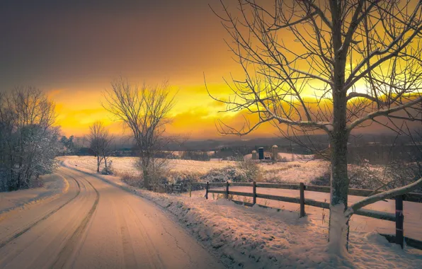 Картинка зима, дорога, небо, облака, снег, деревья, вечер, зарево