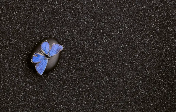 Песок, бабочка, камень, текстура
