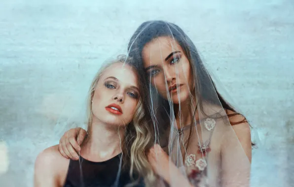 Взгляд, девушки, лица, вуаль, Rita, Daniela