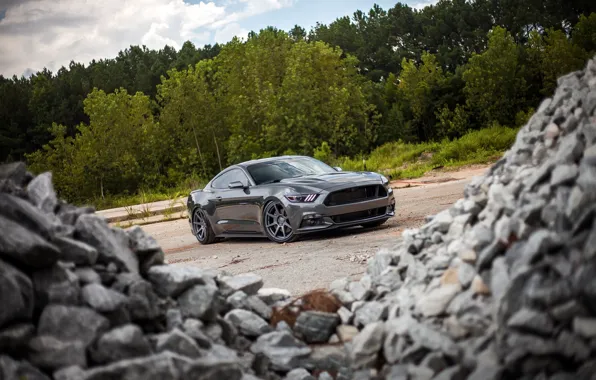 Mustang, Ford, Stones, 2015, 0.5