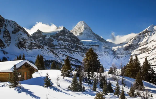 Картинка зима, снег, деревья, дом, гора, ели, Канада, Канадские Скалистые горы