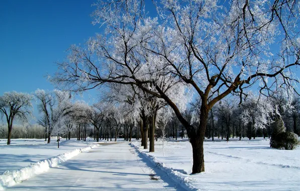 Картинка зима, иней, дорога, небо, снег, деревья, пейзаж, мороз