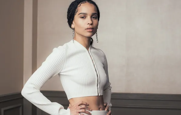 Поза, модель, фигура, пирсинг, актриса, певица, Зои Кравиц, Zoë Kravitz