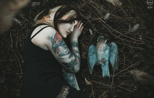 Девушка, птица, Silent Purr, ☽ Feathers ☾