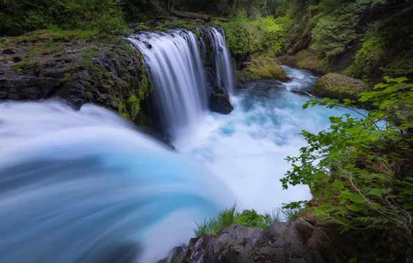 Лес, река, водопады, Columbia River Gorge, Washington State, Little White Salmon River, Spirit Falls, Ущелье …
