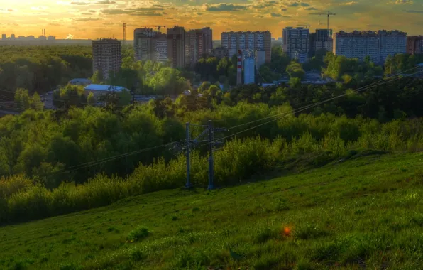 Картинка лес, город, HDR