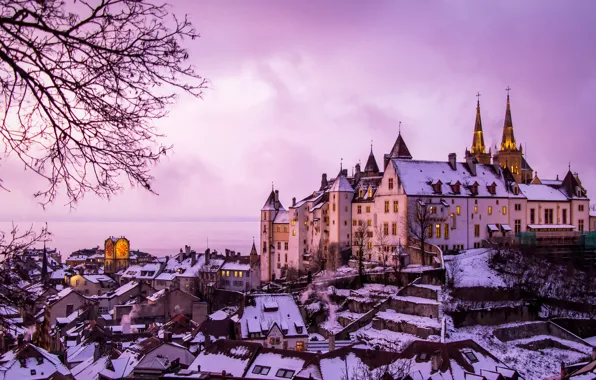 Картинка зима, озеро, замок, здания, дома, Швейцария, панорама, Switzerland
