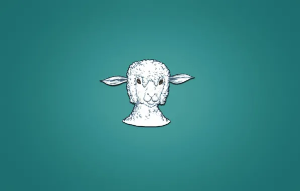 Животное, минимализм, голова, барашек, sheep, овца, синеватый фон