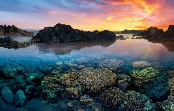 Закат, океан, скалы, кораллы, Индийский океан, Indian Ocean, Reunion Island, Остров Реюньон