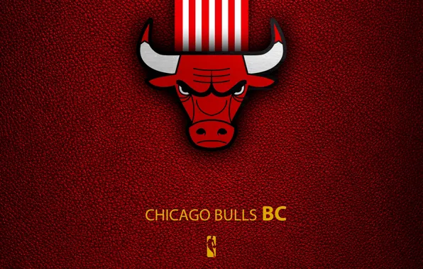 Wallpaper, sport, logo, basketball, NBA, Chicago Bulls