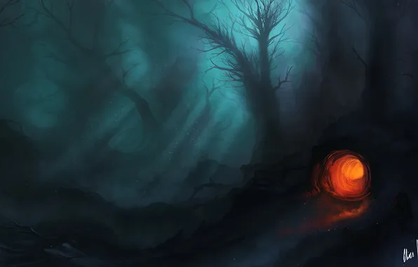 Картинка лес, свет, ночь, огонь, чаща, арт, пещера