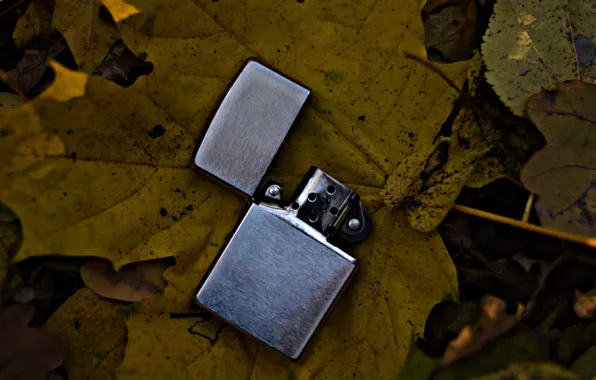 Листья, природа, желтые, зажигалка, zippo