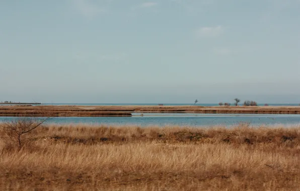 Море, небо, камыши, берег