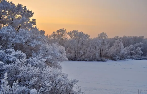 Зима, иней, снег, деревья, пейзаж, закат, природа, вечер