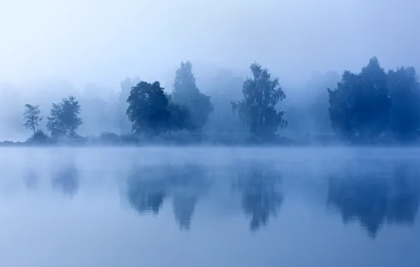 Картинка деревья, туман, озеро, утро, сумерки