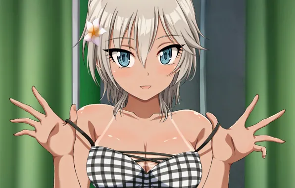 Girl, sexy, Anastasia, cleavage, boobs, anime, beautiful, short hair