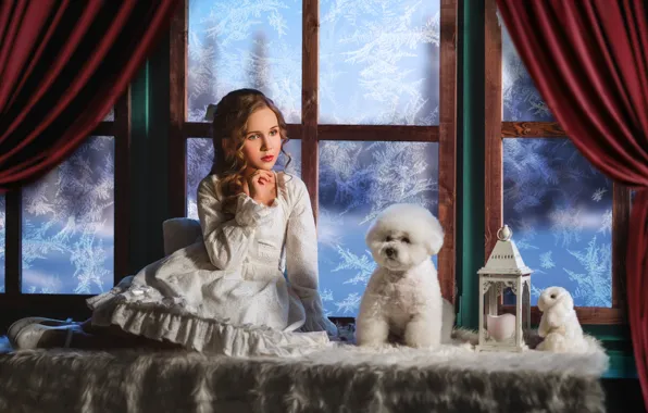 Игрушка, собака, кролик, платье, окно, мороз, девочка, фонарь