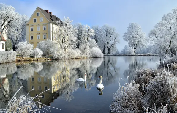 Картинка зима, иней, деревья, птицы, пруд, отражение, замок, Германия