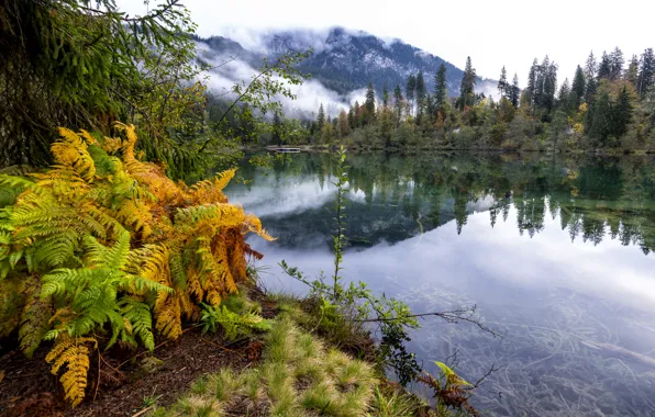 Осень, горы, озеро, Швейцария